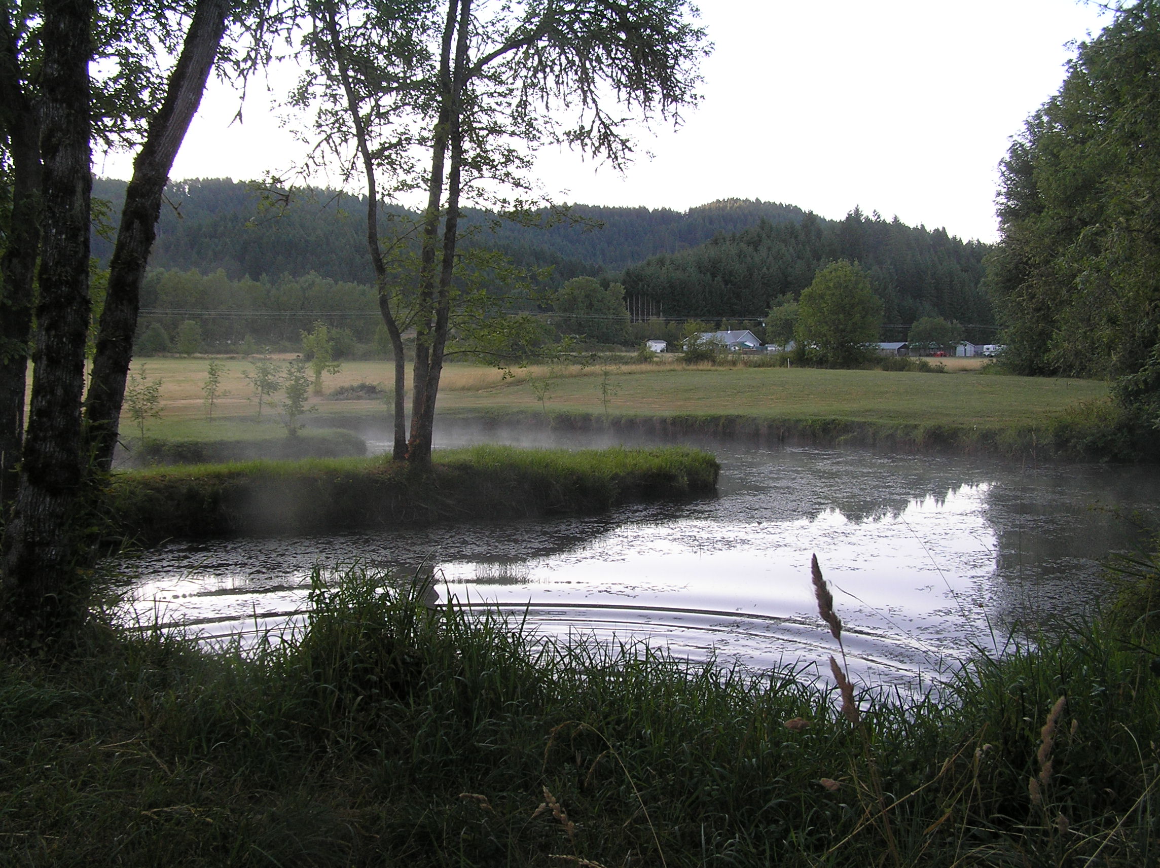 Pond