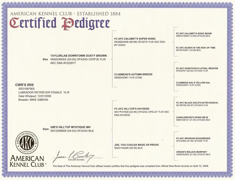 Iris's Pedigree